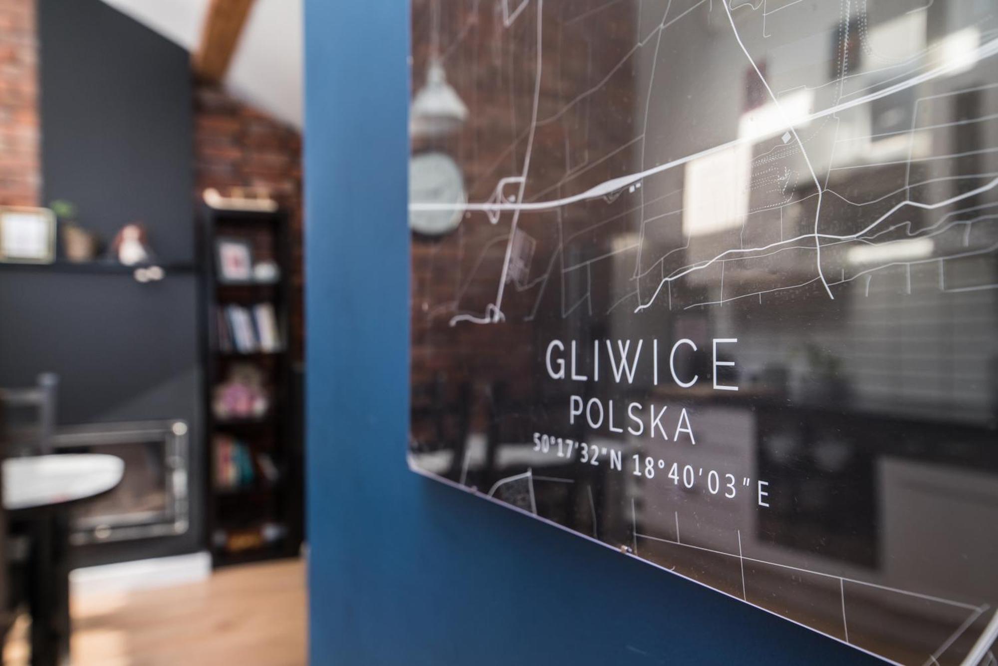 Przytulny Loft W Uroczej Okolicy Apartment กลีวิตเซ ภายนอก รูปภาพ